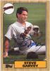 Steve Garvey on Sportscollectors.Net