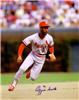 Ozzie Smith on Sportscollectors.Net